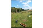 Mehrfamilienhaus, Wohnhaus Bad Kleinen - 149.000&euro; | Angebot:26893061