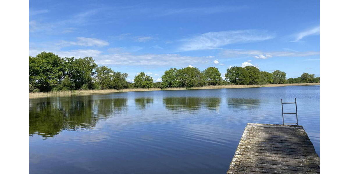 Einfamilienhaus Witzin - 4 Zimmer, 305 m&sup2;, 740.000&euro; | Angebot:25716256