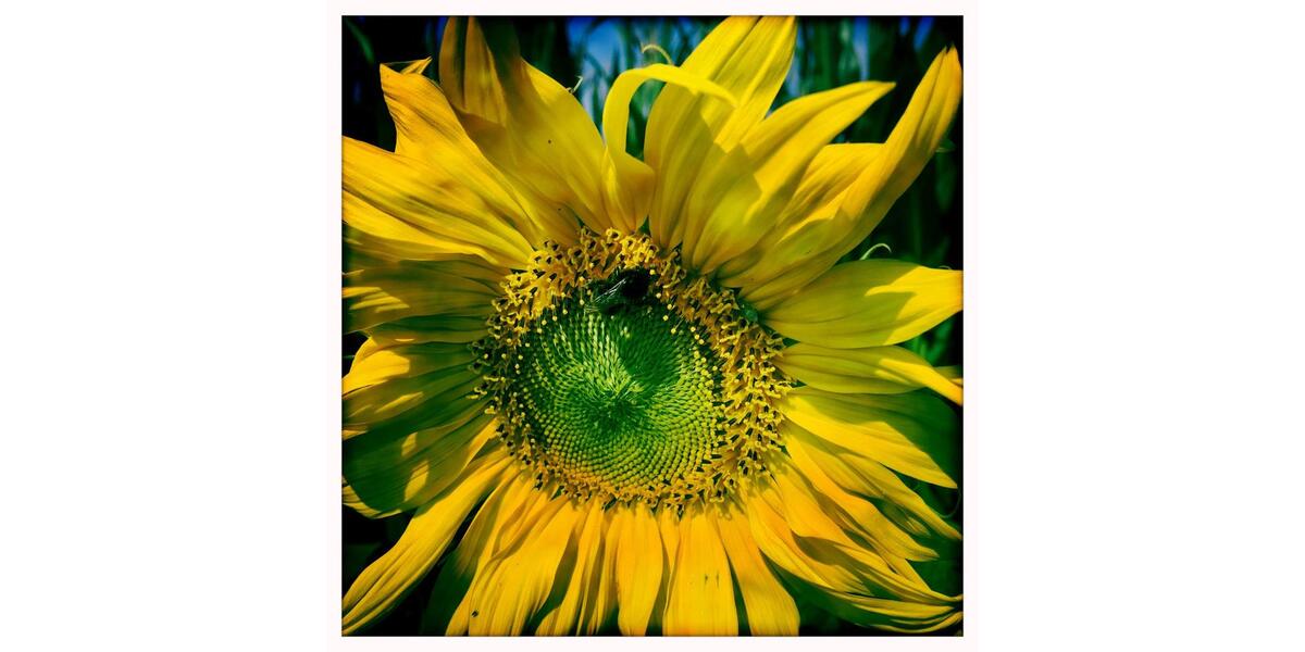 Einfamilienhaus Dülmen - 10 Zimmer, 240 m&sup2;, 523.000&euro; | Angebot:25647825