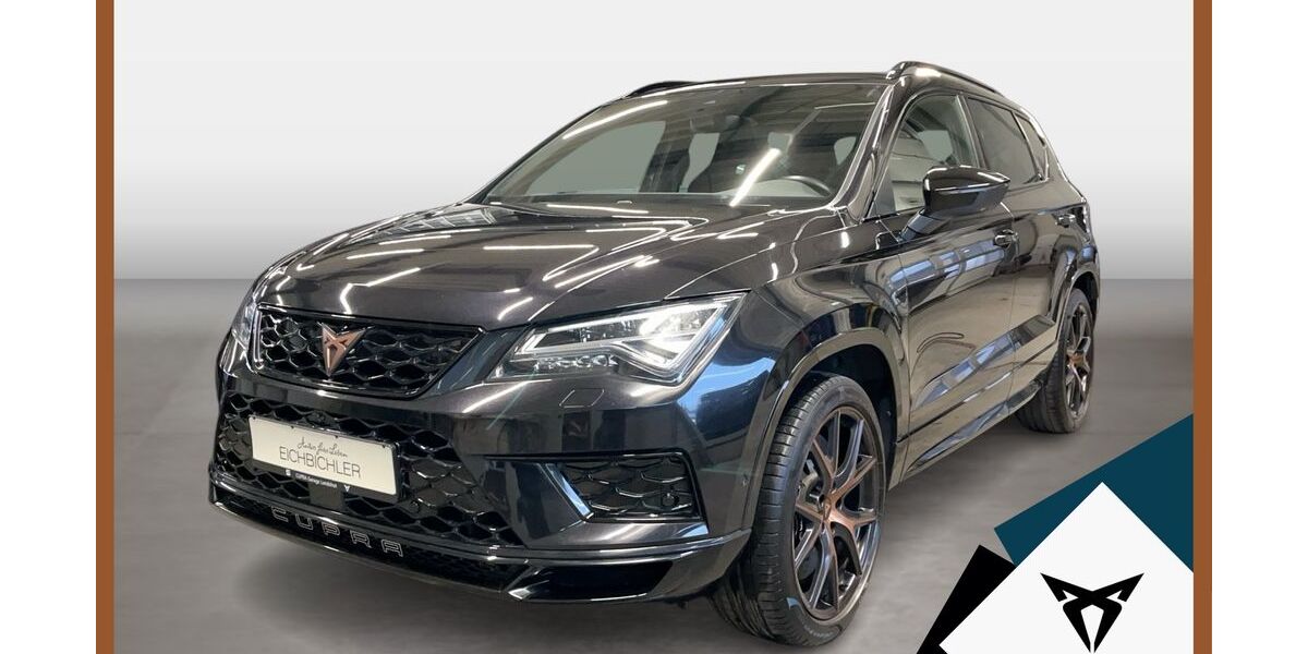 Cupra Ateca 113.900 km 23.630 &euro; Landshut 84030