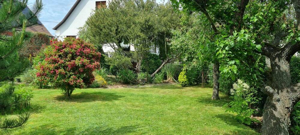 Mehrfamilienhaus, Wohnhaus Weißenfels - 3 Zimmer, 80 m&sup2;, 160.000&euro; | Angebot:25796932