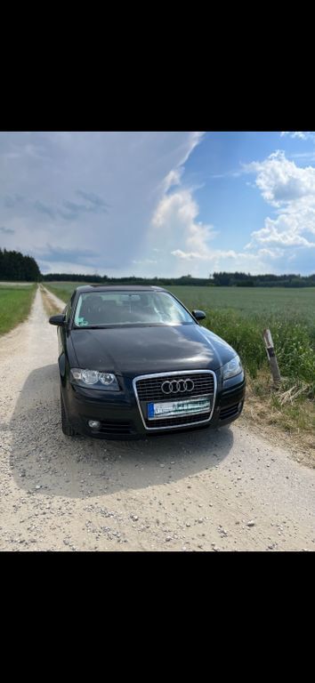 A3
