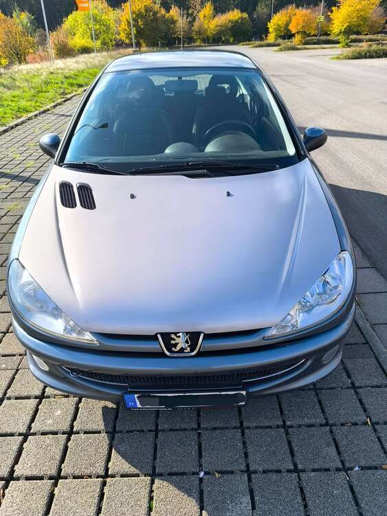 Peugeot 206 163.010 km 1.750 € Reinsfeld 54421