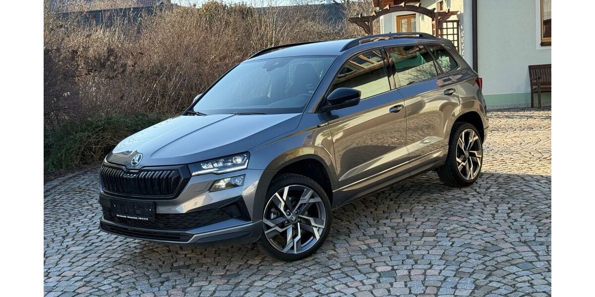 Skoda Karoq 12.000 km 33.880 &euro; Schwarzenbach 92720