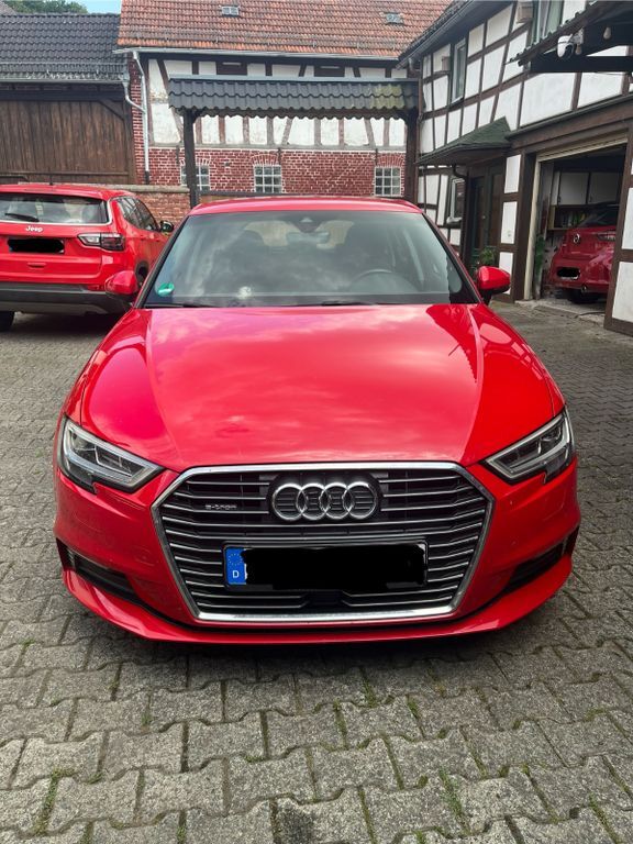 A3
