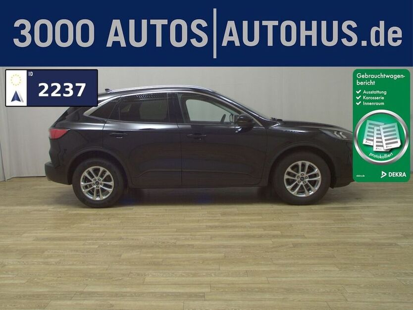 Kuga