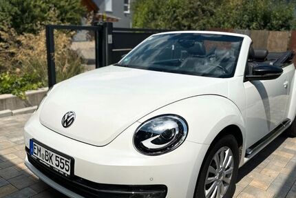 VW Beetle