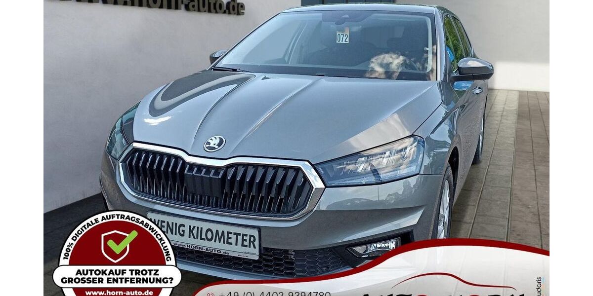 Skoda Fabia 14.142 km 16.588 &euro; Rastede 26180