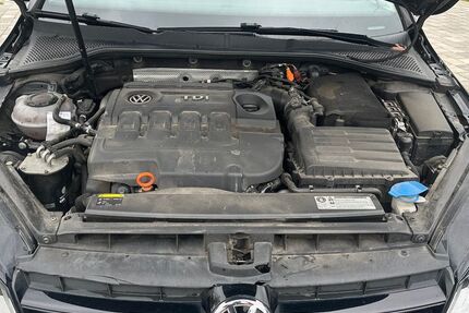 VW Golf 207.900 km 3.000 € Sangerhausen 06526