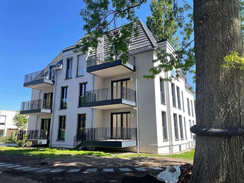 Wohnung zum Mieten in Dresden 2.660 € 133.1 m²