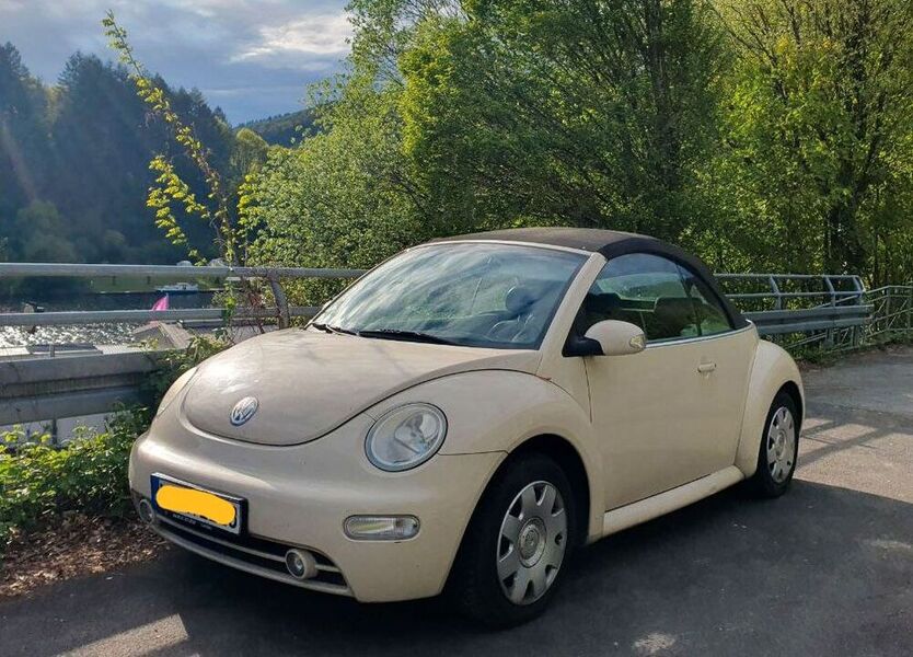 Beetle