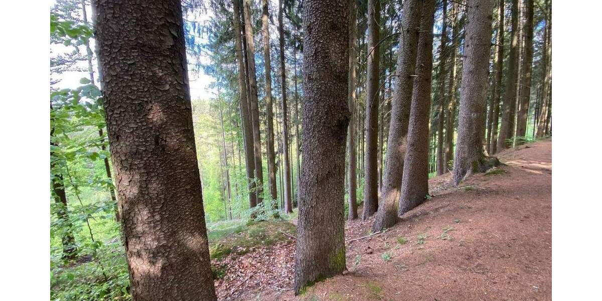Grundstück Flossenbürg - 170.000&euro; | Angebot:26036735