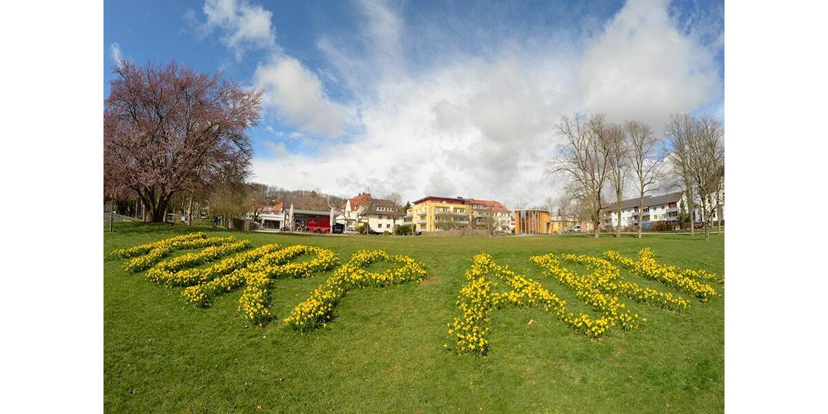 Mehrfamilienhaus, Wohnhaus Bad Hersfeld - 799.900&euro; | Angebot:26887148