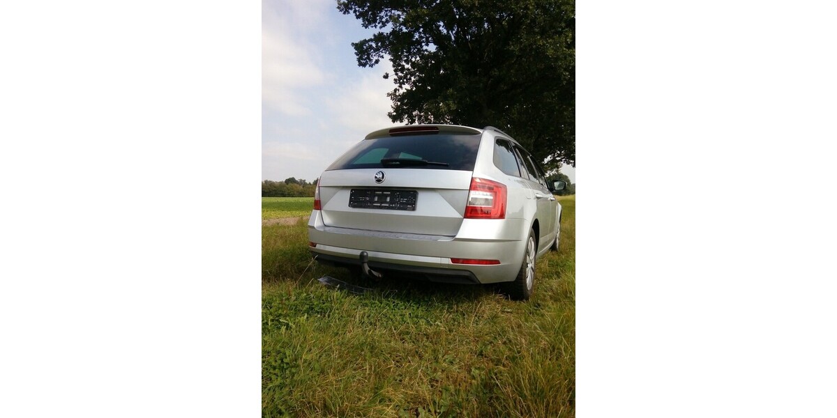 Skoda Octavia 240.420 km 8.300 &euro; Wrestedt 29559