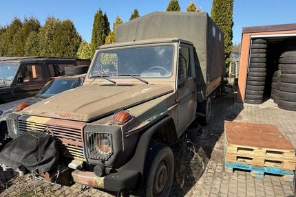 Mercedes G 230