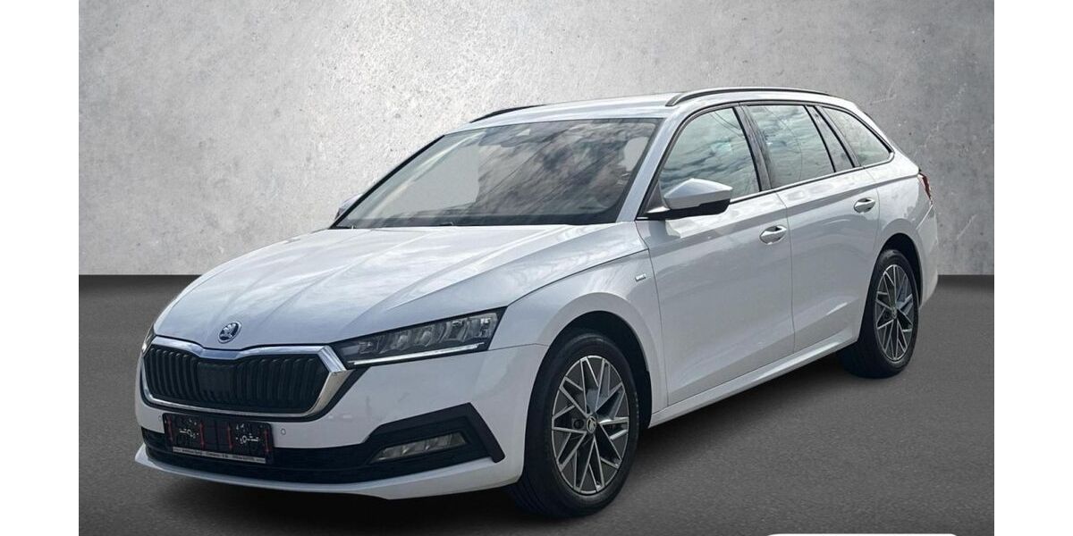 Skoda Octavia 48.200 km 25.790 &euro; Chamerau 93466