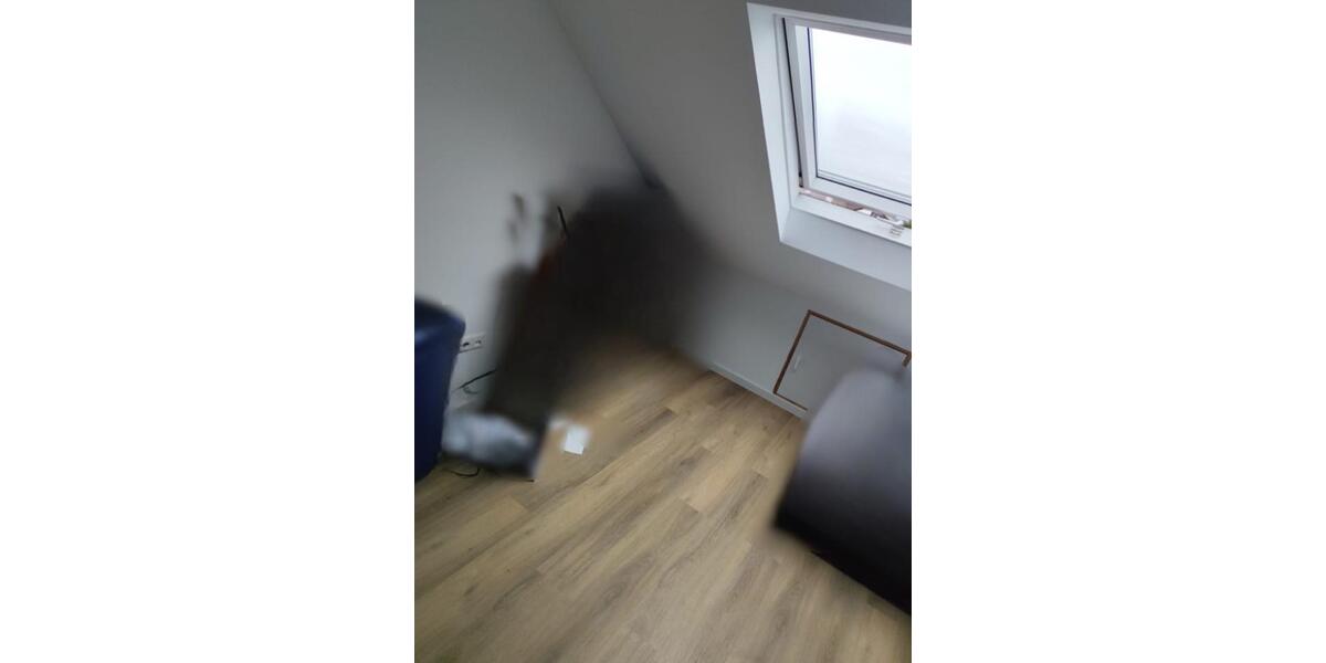 Dachgeschoßwohnung Bad Schönborn - 1 Zimmer, 75 m&sup2;, 1.100&euro; | Angebot:24819012