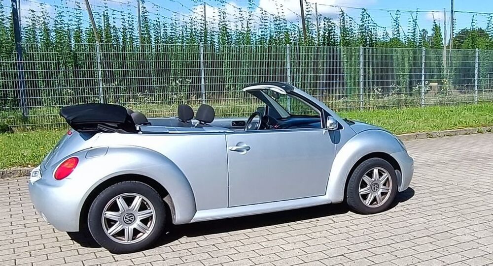 Beetle