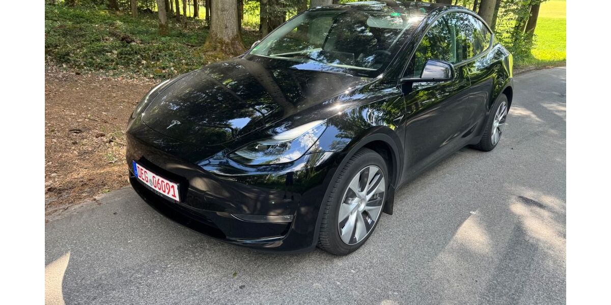 Tesla Model Y 132.000 km 31.900 &euro; Außernzell 94532