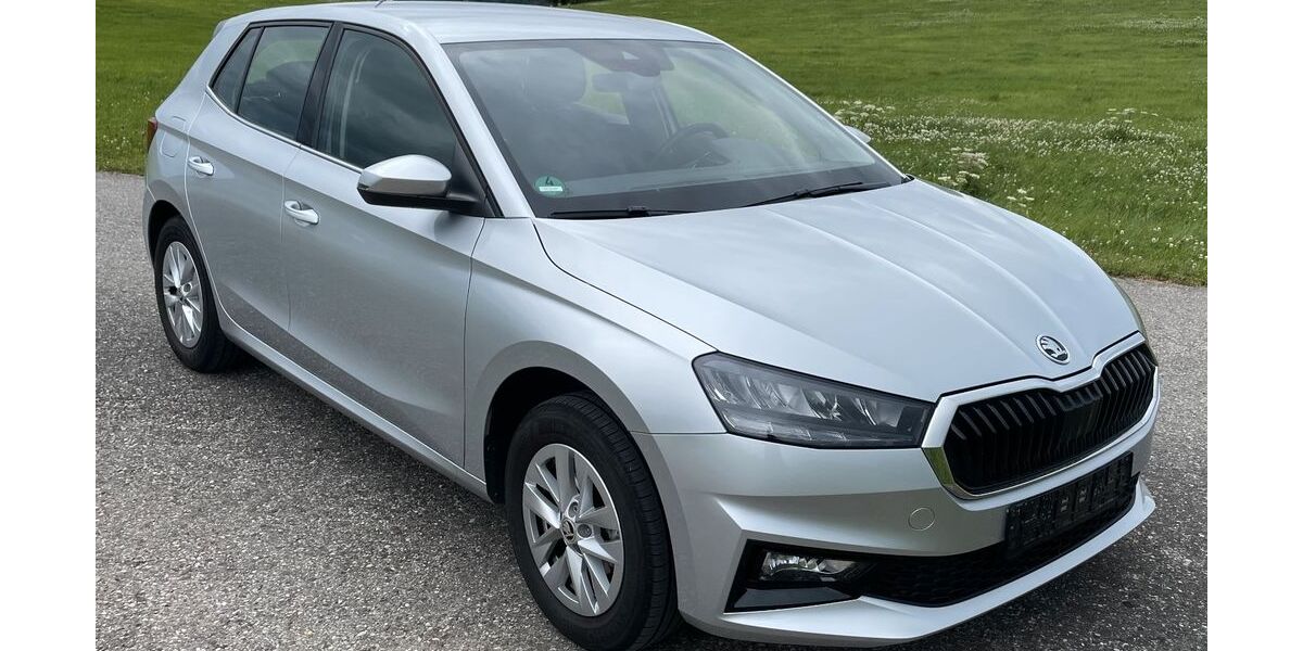 Skoda Fabia 29.200 km 16.999 &euro; Nesselwang 87484