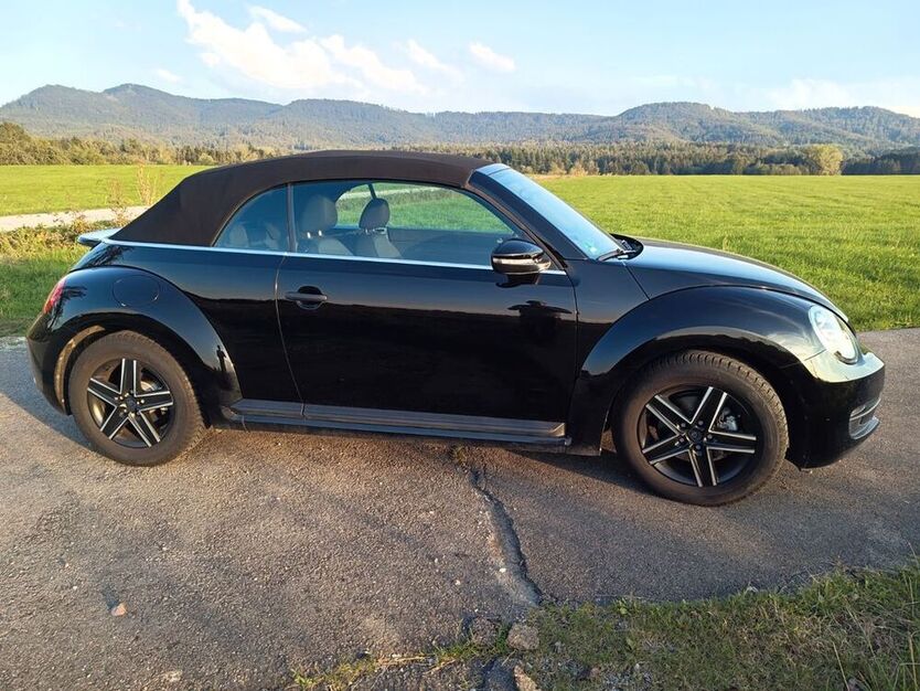 Beetle