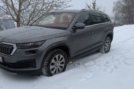 Skoda Kodiaq 99.999 km 28.750 &euro; perlesreut 94157