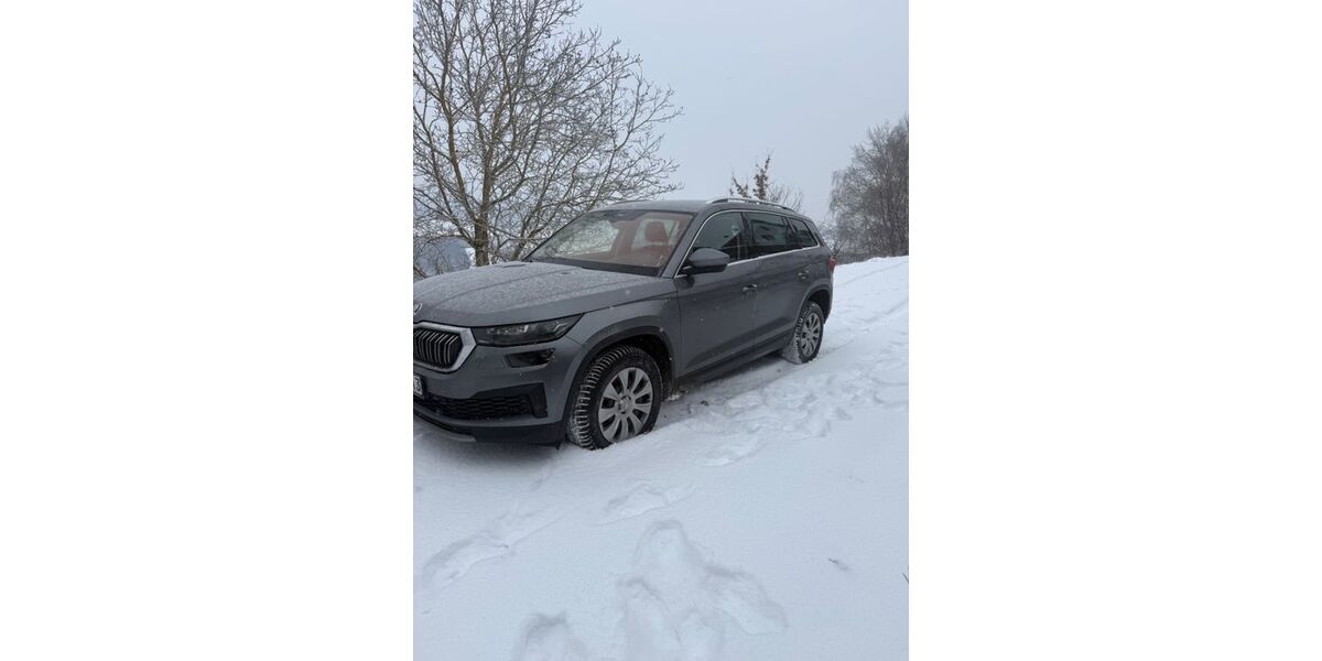 Skoda Kodiaq 99.999 km 28.750 &euro; perlesreut 94157