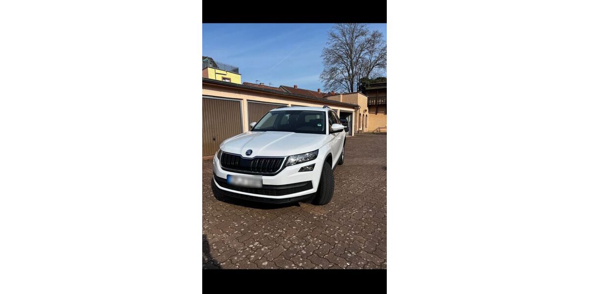 Skoda Kodiaq 193.000 km 14.900 &euro; Speyer 67346