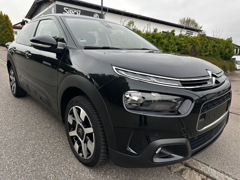 C4 Cactus