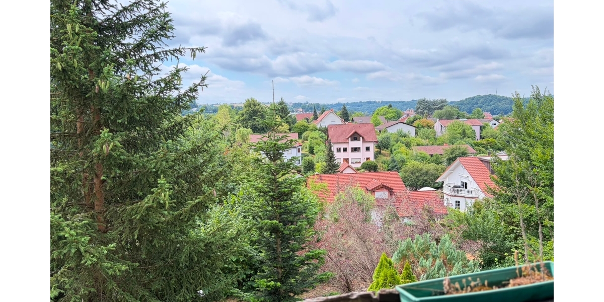 Potenzialstarkes Sanierungsobjekt: Freistehendes Ein- oder Zweifamilienhaus in Waldfischbach - Zweifamilienhaus Waldfischbach-Burgalben Rheinland-Pfalz | Angebot:27103932