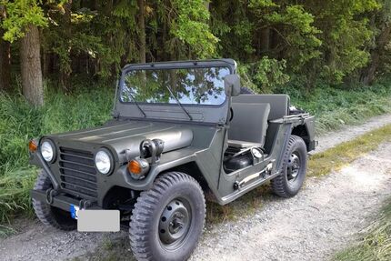 Ford Andere