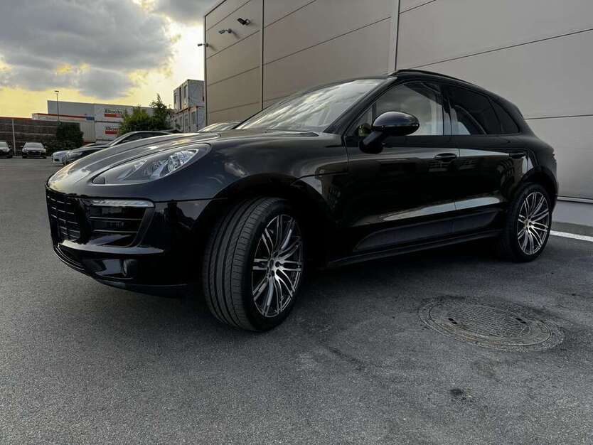 Macan