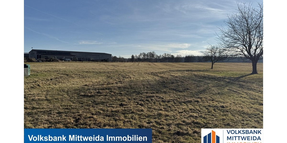 Großes Grundstück in ruhiger und sonniger Lage! - Grundstück Rossau | Angebot:25649158