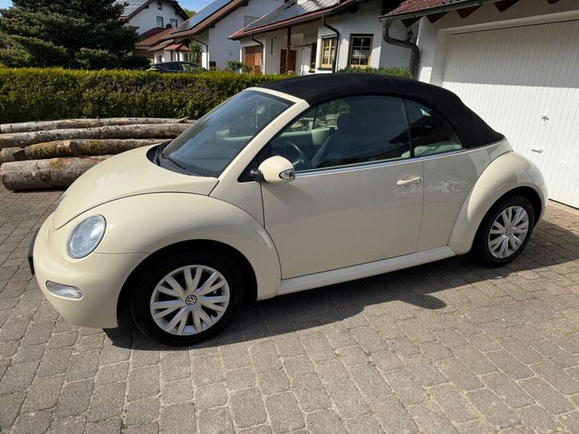 Beetle