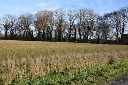 Grundstück in Nettetal-Leuth 136.200 € 13620 m² zimmer