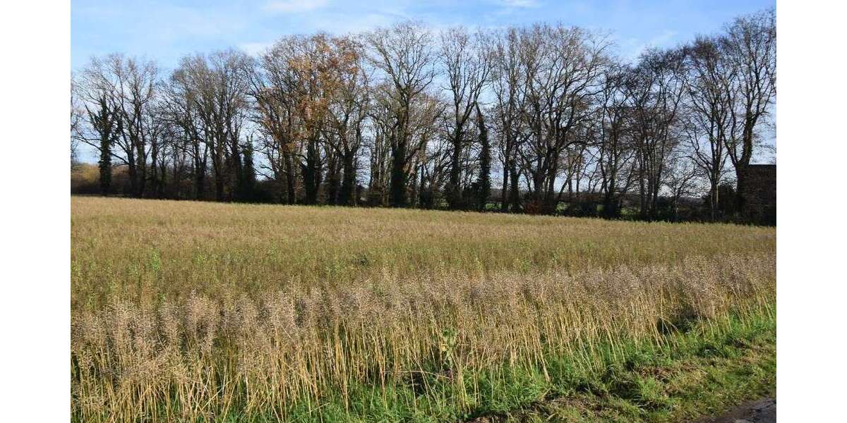 Grundstück in Nettetal-Leuth 136.200 € 13620 m² zimmer