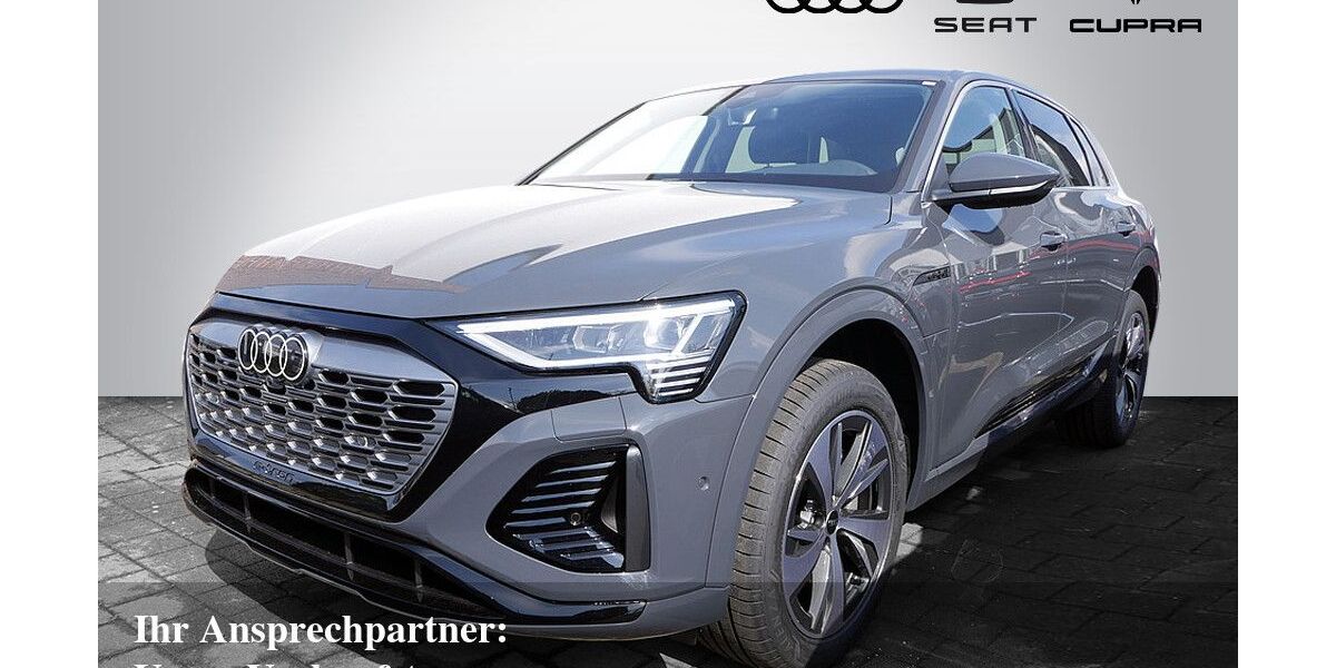 Audi Q8 e-tron 9.500 km 49.830 € Bietigheim-Bissingen 74321