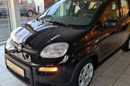 Fiat Panda 12.000 km 12.450 &euro; Gefrees 95482