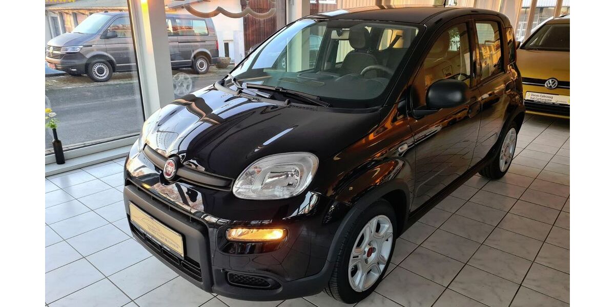 Fiat Panda 8.500 km 13.350 &euro; Gefrees 95482