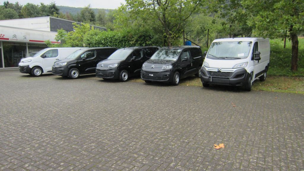 Peugeot Rifter 28.000 km 17.890 &euro; Bernkastel-Kues 54470