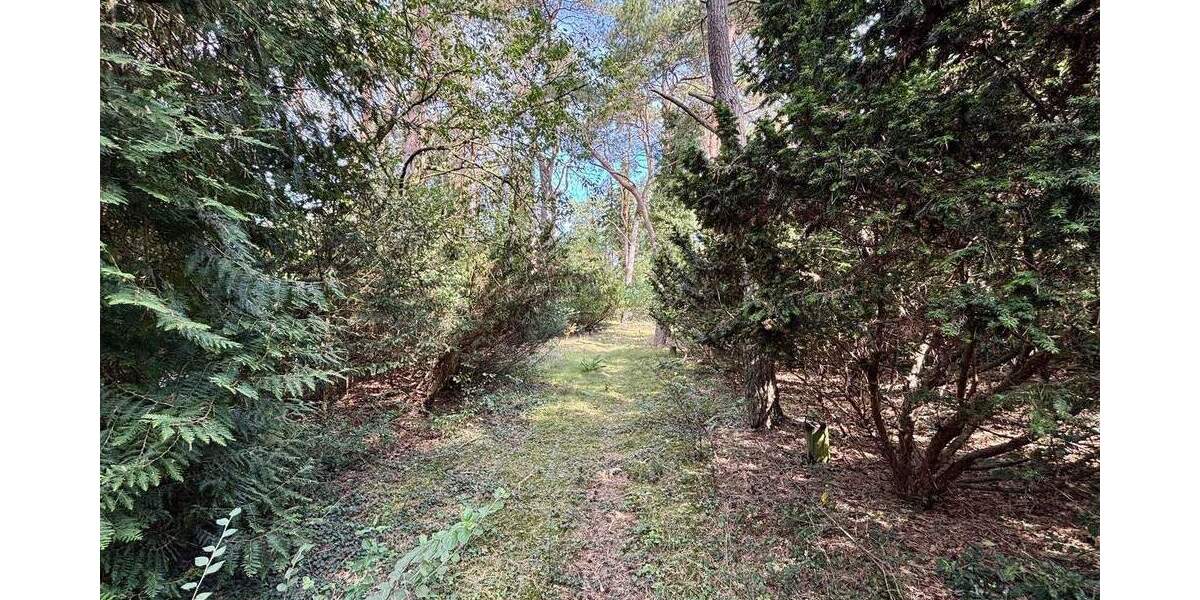 Grundstück Seevetal - Ramelsloh Ramelsloh - 775.000&euro; | Angebot:25661952