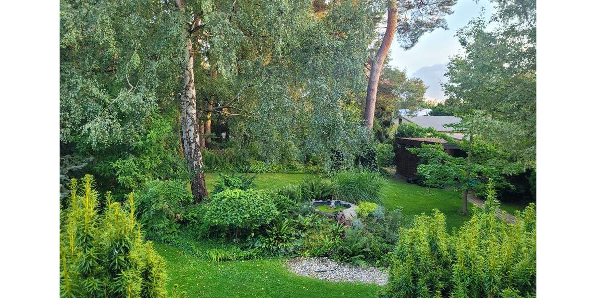 3.5 Zimmer-Wohnung (Hochparterre) oder ganzes Haus 3.5 zimmer