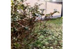 Dachgeschoßwohnung Ginsheim-Gustavsburg Gustavsburg - 3 Zimmer, 60 m&sup2;, 209.000&euro; | Angebot:27219950
