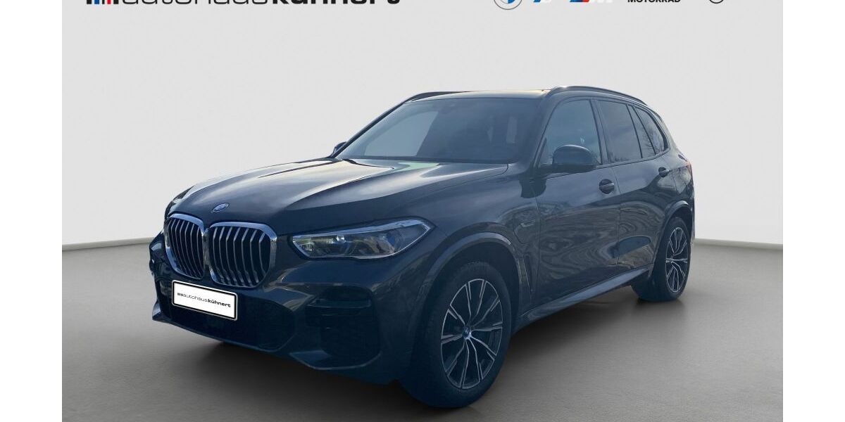 BMW X5 105.000 km 47.755 &euro; Windischleuba 04603