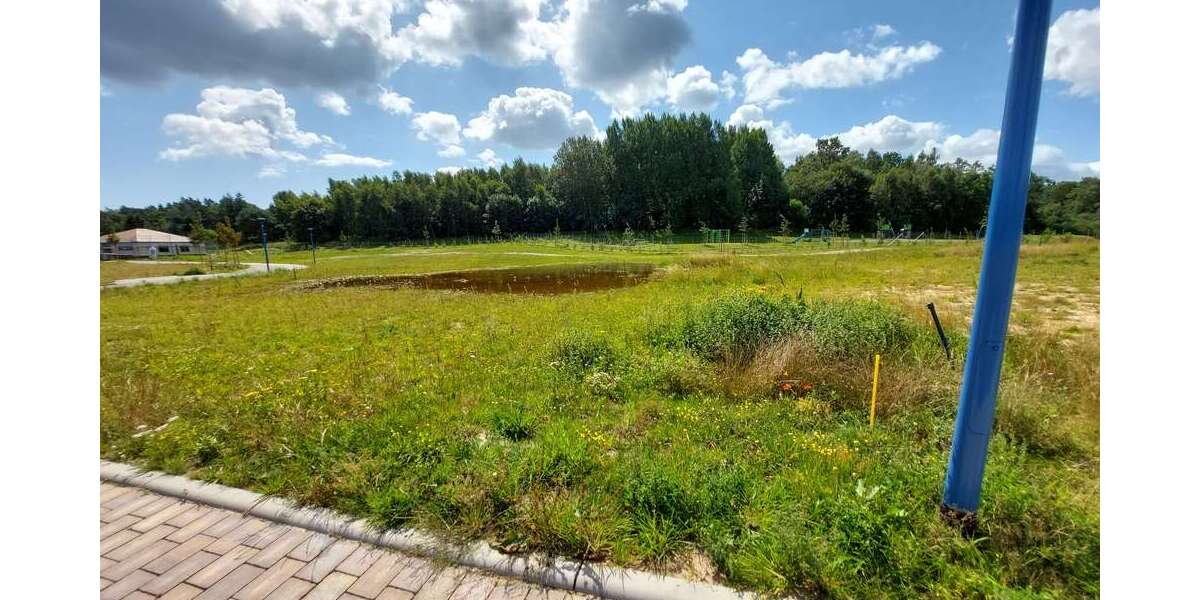 Grundstück zu verkaufen in Bergen OT Tilzow 89.500 € 562 m² zimmer