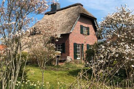 Haus Norden - 5 Zimmer, 100 m&sup2;, 749.000&euro; | Angebot:26396199
