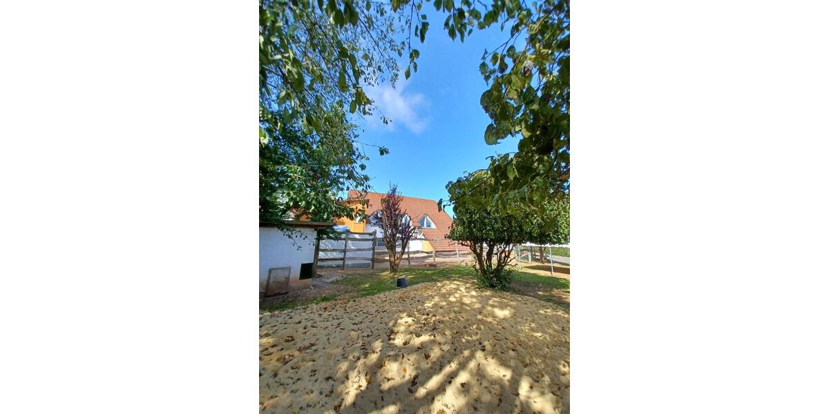 Mehrfamilienhaus, Wohnhaus Bad Arolsen - 12 Zimmer, 550 m&sup2;, 849.000&euro; | Angebot:24399525