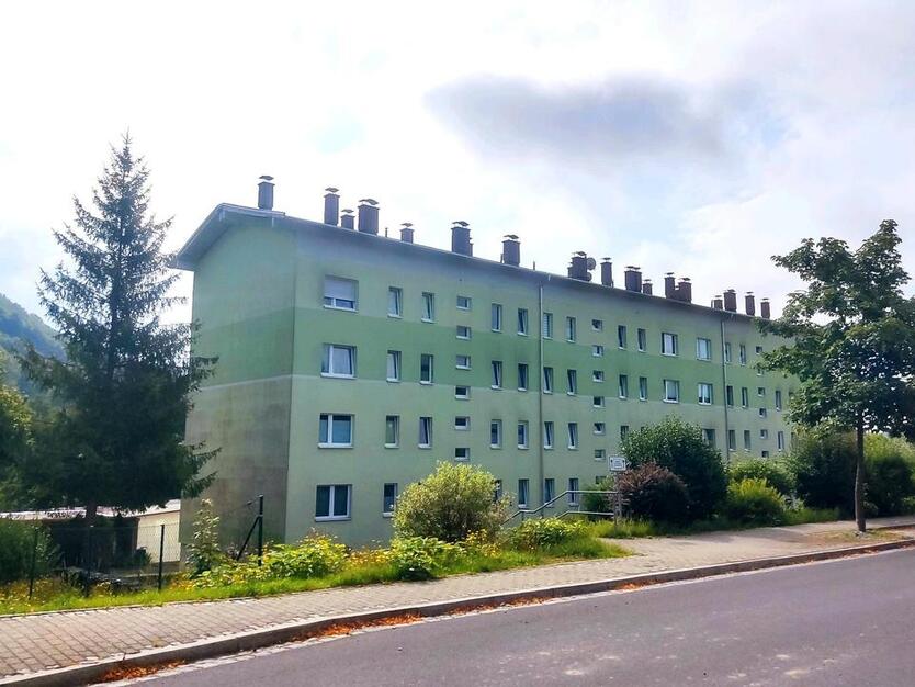 Renovierte 2-Raum-Wohnung mit tollem Ausblick in Frankenblick
