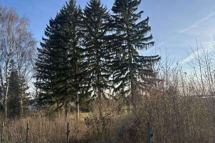 Grundstück zu verkaufen in Görlitz 24.900 € 1998 m² zimmer