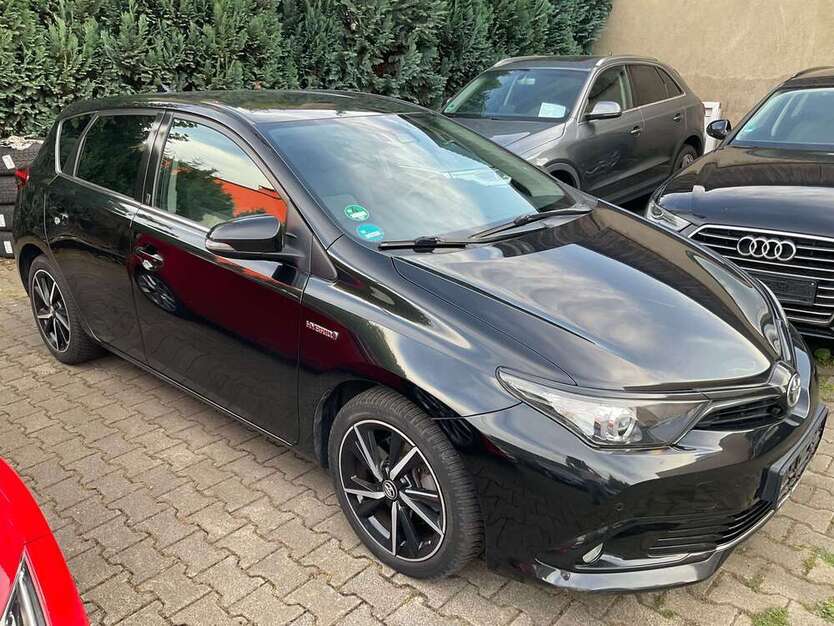 Auris